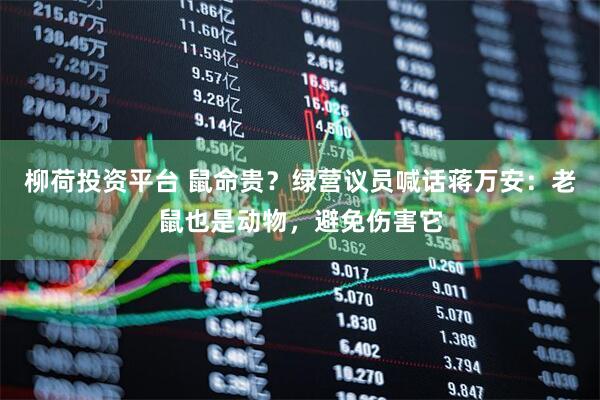 柳荷投资平台 鼠命贵？绿营议员喊话蒋万安：老鼠也是动物，避免伤害它