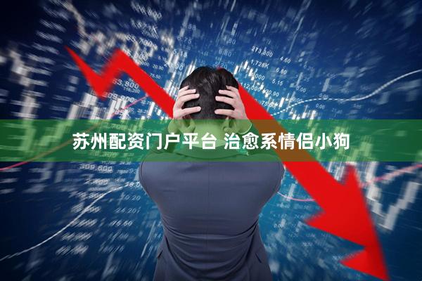 苏州配资门户平台 治愈系情侣小狗