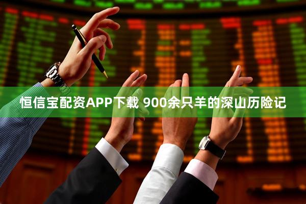 恒信宝配资APP下载 900余只羊的深山历险记