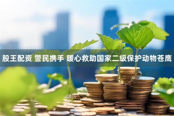 股王配资 警民携手 暖心救助国家二级保护动物苍鹰