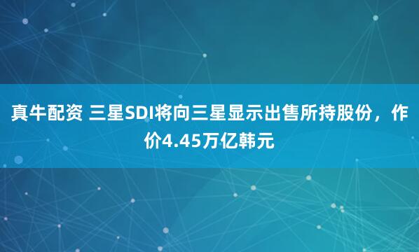 真牛配资 三星SDI将向三星显示出售所持股份，作价4.45万亿韩元